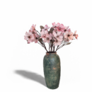 silkeblomst